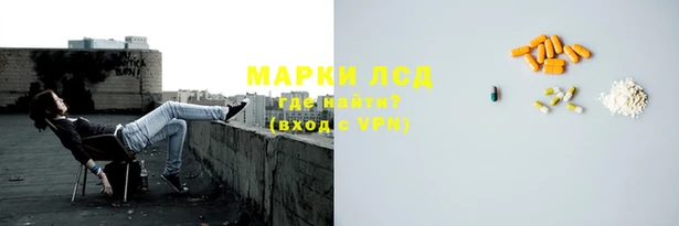 ГАЛЛЮЦИНОГЕННЫЕ ГРИБЫ Арсеньев