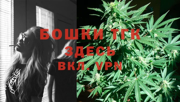 ГАЛЛЮЦИНОГЕННЫЕ ГРИБЫ Арсеньев