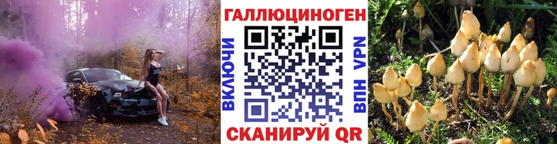 Псилоцибиновые грибы GOLDEN TEACHER  Купить закладки  Тосно 