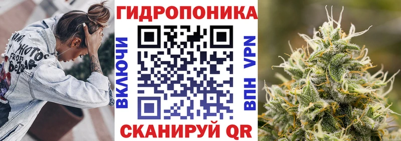 Шишки марихуана планчик  Купить где  Тосно 